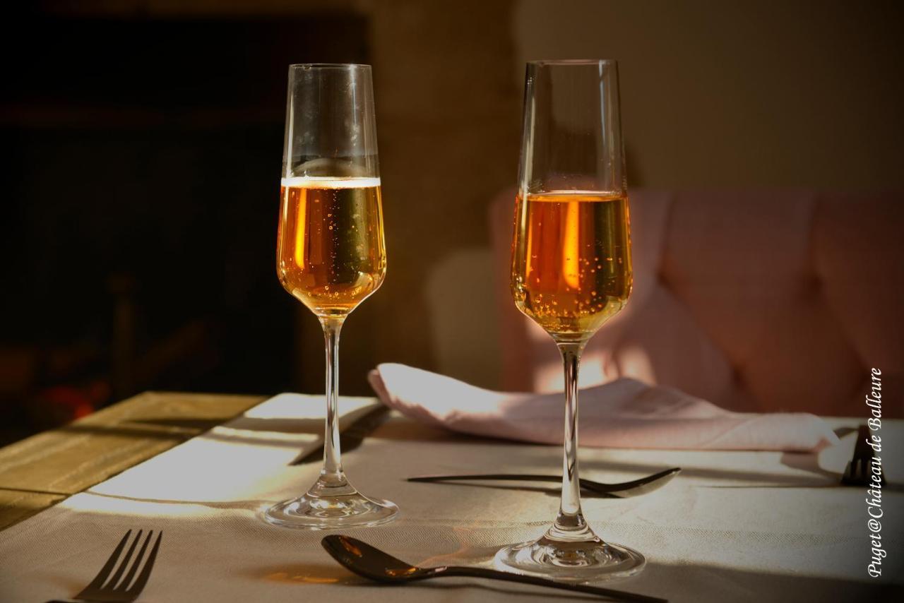 Chateau De Balleure Etrigny Εξωτερικό φωτογραφία