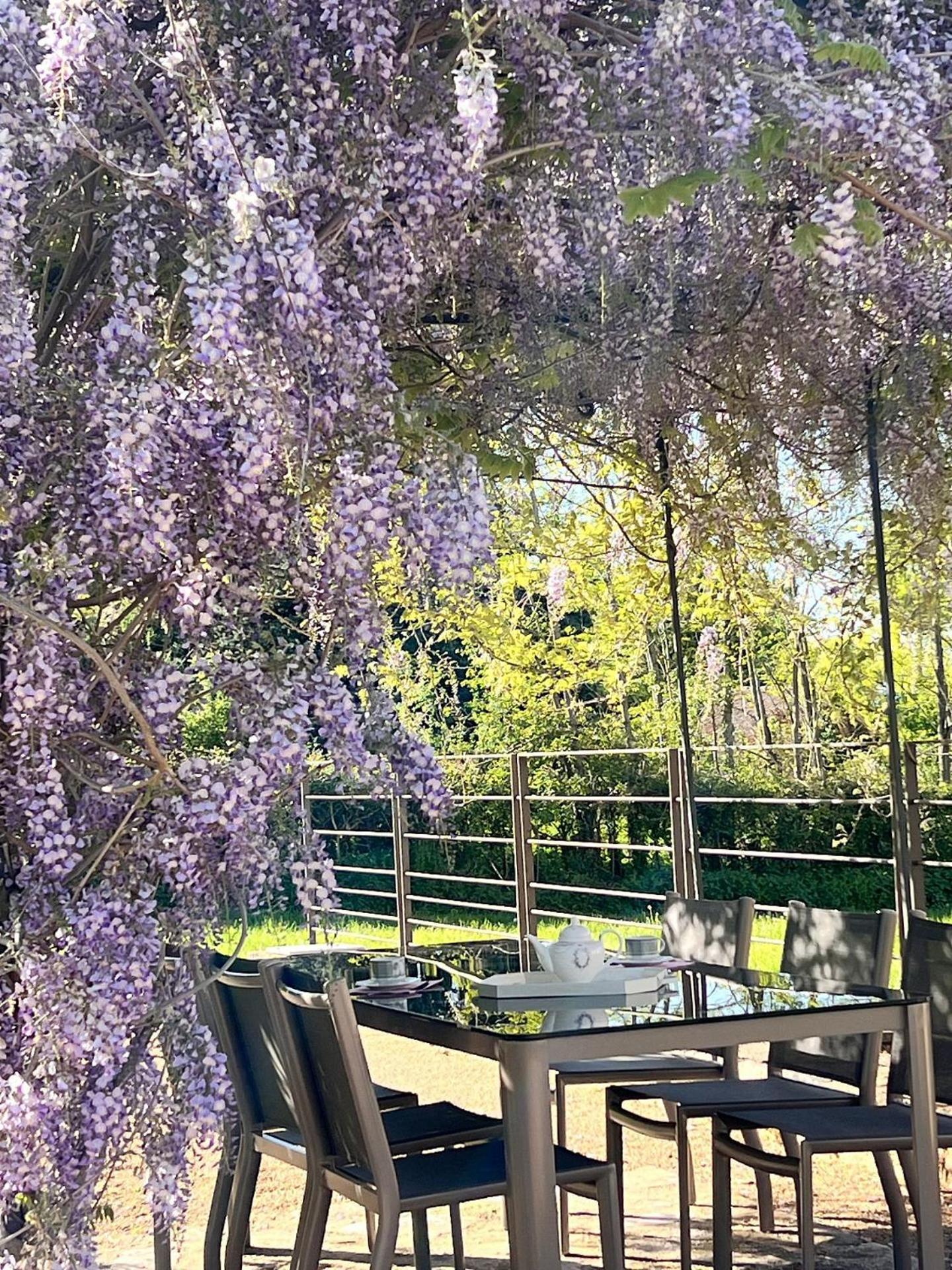 Chateau De Balleure Etrigny Εξωτερικό φωτογραφία