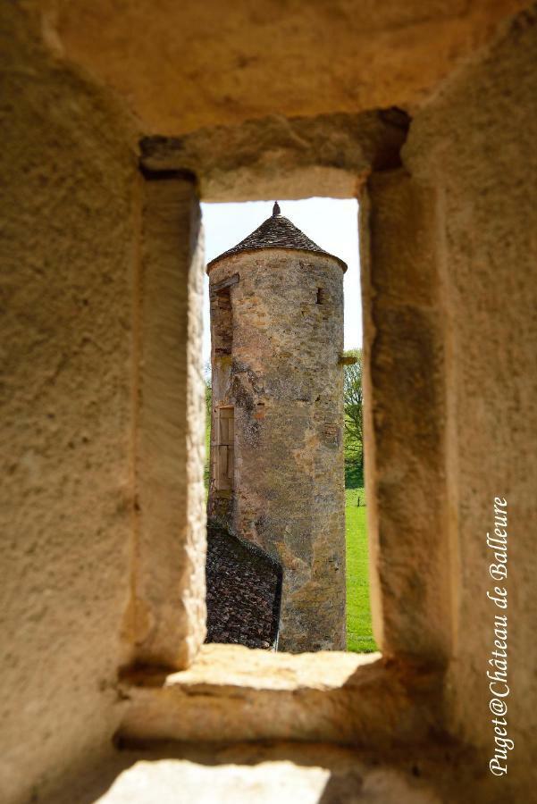 Chateau De Balleure Etrigny Εξωτερικό φωτογραφία