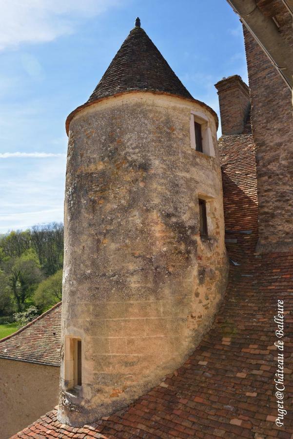 Chateau De Balleure Etrigny Εξωτερικό φωτογραφία